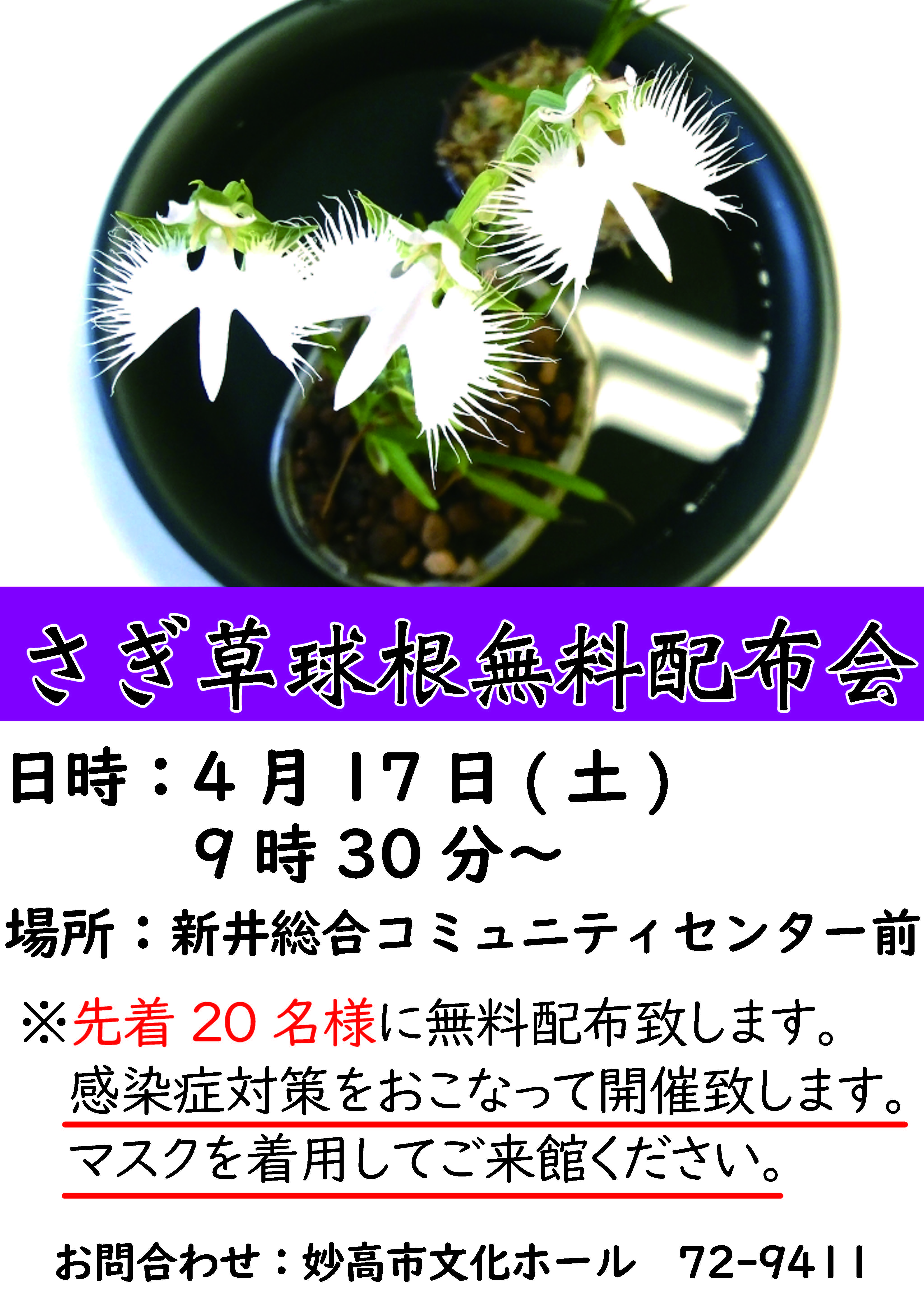 http://myoko-bunka.jp/news/2021%E3%81%95%E3%81%8E%E8%8D%89%E9%85%8D%E5%B8%83.jpg
